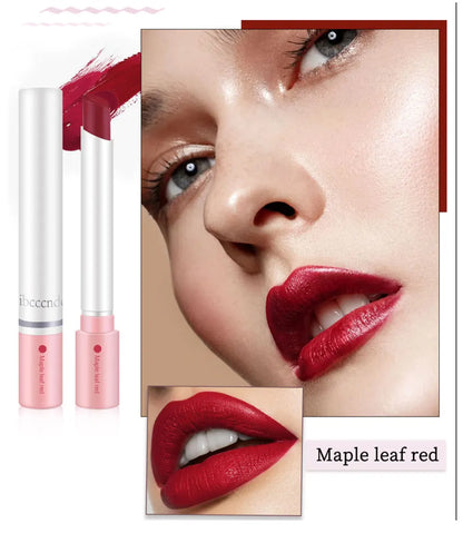 4 Colors Cigarette Shaped Lip Gloss Set Matte Velvet High Pigment Waterproof Long Lasting Non Transfer Portable Mini Lip Makeup Cosmetic