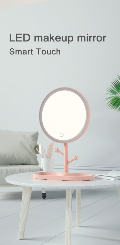 LED Makeup Mirror With Light