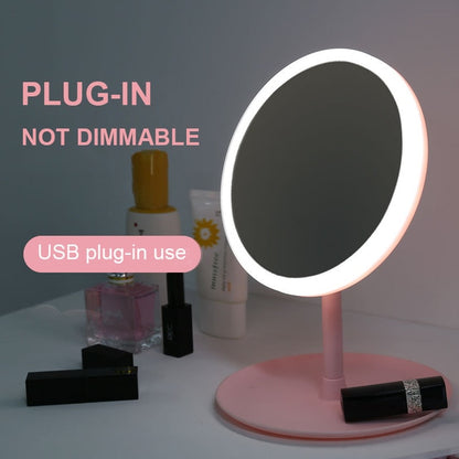 LED Light Makeup Mirror