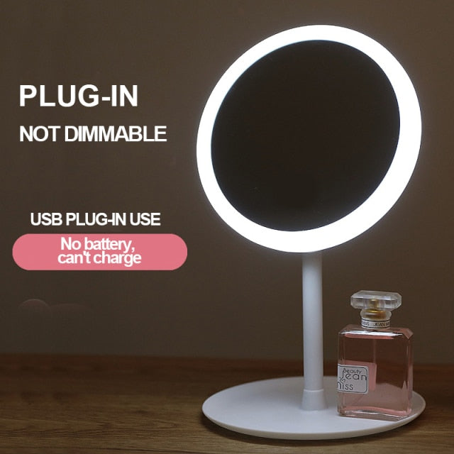 LED Light Makeup Mirror