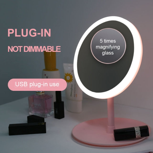 LED Light Makeup Mirror