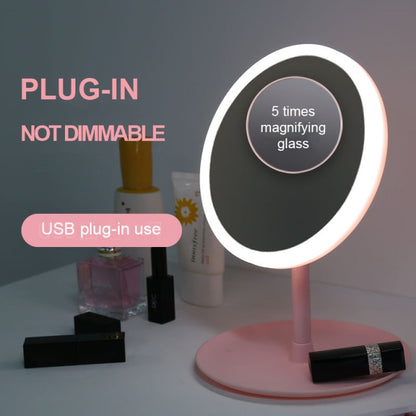 LED Light Makeup Mirror